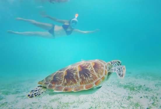 Acuario Beach Inn San Vicente  Exteriér fotografie
